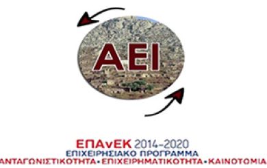 AEI.banner 2