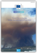 Δασικές πυρκαγιές στην Ευρώπη, τη Μέση Ανατολή και τη Βόρεια Αφρική. Ετήσια έκδοση 2022