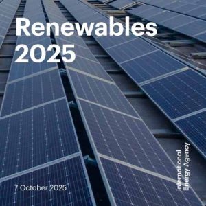 Renewables 2025: Το μέλλον της παγκόσμιας ανανεώσιμης ενέργειας έως το 2030