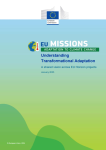 Σύνοψη Πολιτικής – Κατανοώντας τη Μετασχηματιστική Προσαρμογή: Ένα κοινό όραμα για  τα έργα του EU Horizon
