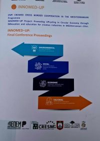 INNOMED-UP: final conference proceedings