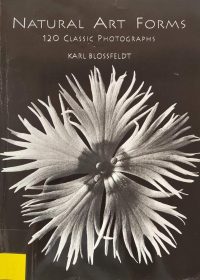 Natural art forms : 120 classic photographs / Karl Blossfeldt